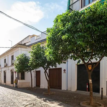 Premium - Arcos De Medina 101 Cordoba