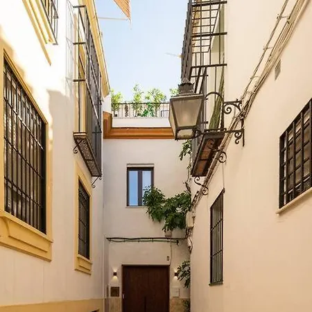 Apartment Premium - Arcos De Medina 101 *