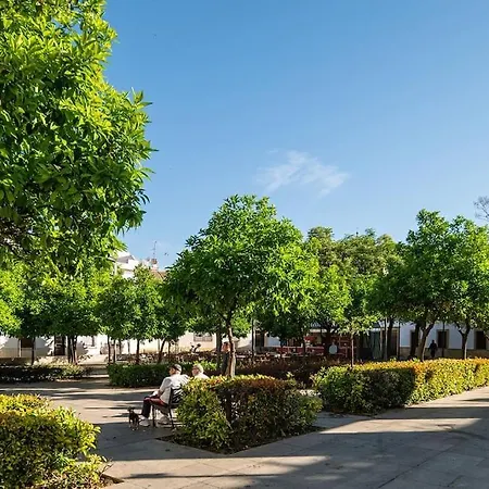Apartment Premium - Arcos De Medina 101