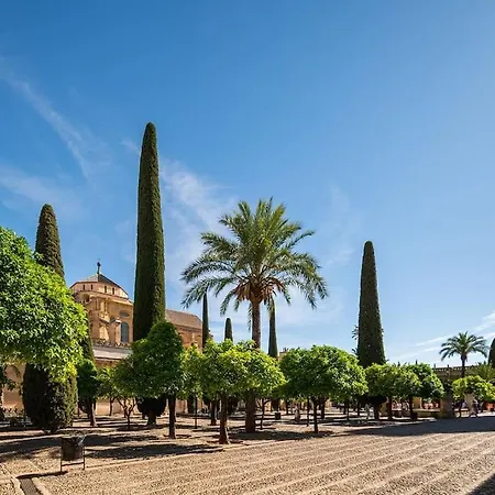 Premium - Arcos De Medina 101 Apartment