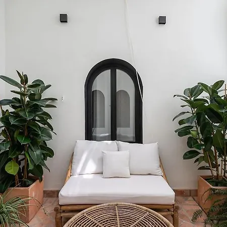Premium - Arcos De Medina 101